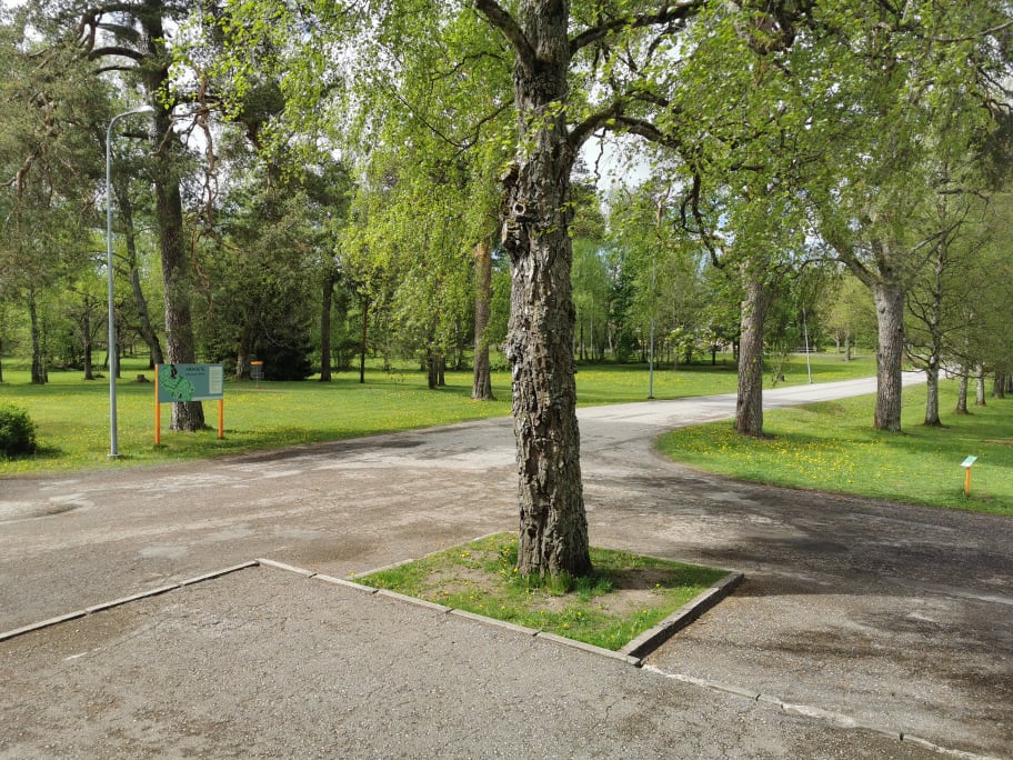 Aravete discgolfi park Aravete discgolfi park