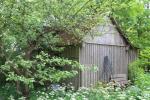 IMG_7940.JPG - 