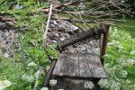 IMG_7941.JPG - 