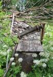 IMG_7942.JPG - 