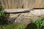IMG_7955.JPG - 